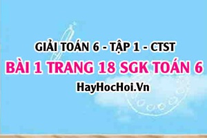 Giải bài 1 trang 18 Toán 6 Tập 1 SGK Chân trời sáng tạo